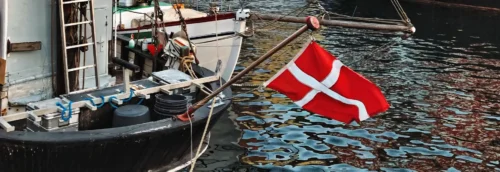 Denmark green hydrogen subsidy tender Power-to-X electrolyser wind energy project