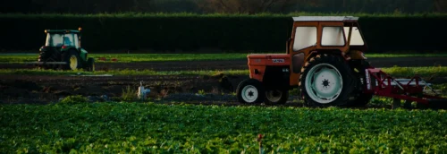 Green fertiliser production using green hydrogen and ammonia for sustainable agriculture in Africa