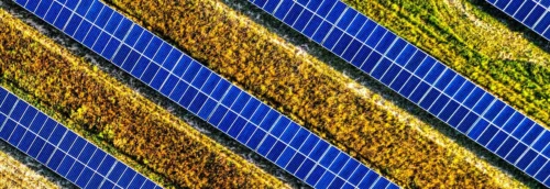 Green ammonia production plant using green hydrogen and renewable energy for decarbonization