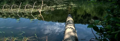 Water for green hydrogen production via electrolysis showing desalination plant and electrolyser infrastructure in arid region