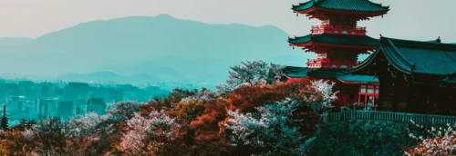 Japan clean hydrogen ammonia power plant decarbonisation co-firing JERA thermal power station