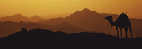 MENA clean hydrogen development map showing key projects in Oman Saudi Arabia Morocco UAE and Egypt with renewable energy infrastructure