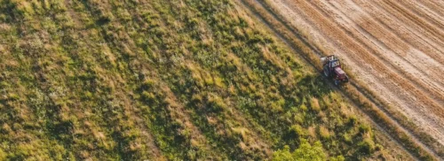 Green hydrogen electrolysis plant producing green ammonia for nitrogen fertilizer supporting food security and sustainable agriculture