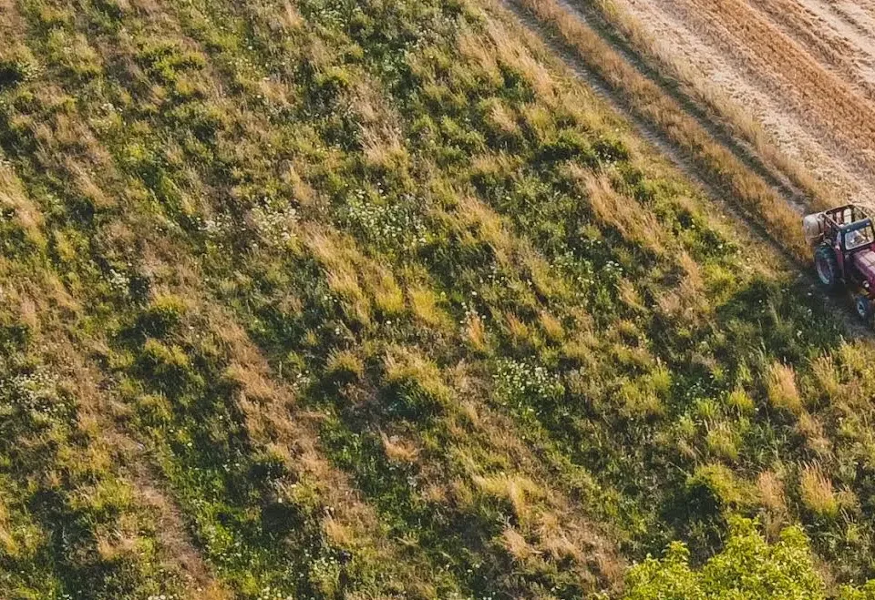 Green hydrogen electrolysis plant producing green ammonia for nitrogen fertilizer supporting food security and sustainable agriculture